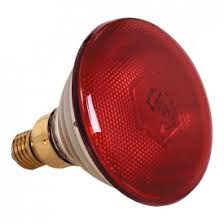 Warme Lampe 250W rot